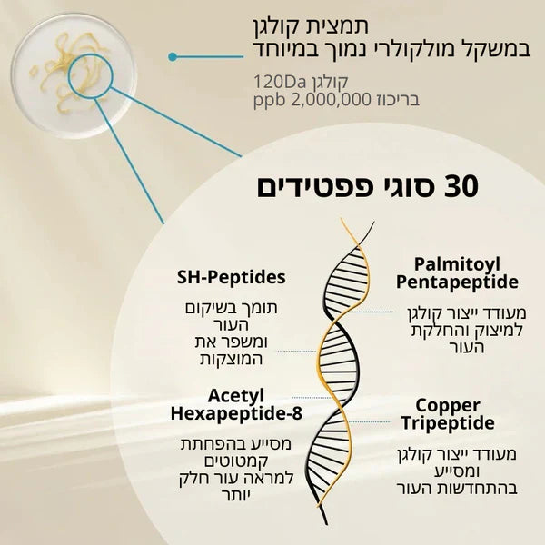 Patchiv™ אמפולת קולגן משי קוריאני